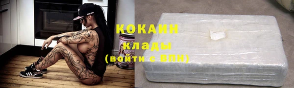 стафф Алзамай