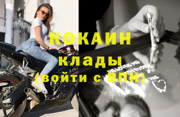 стафф Алзамай