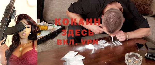 стафф Алзамай