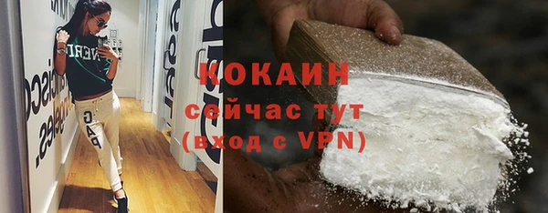 стафф Алзамай