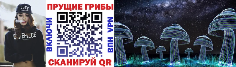 Псилоцибиновые грибы мухоморы  Тверь 
